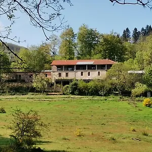 Couette-café Sycomore, La Bouriotte, Labastide-Rouairoux